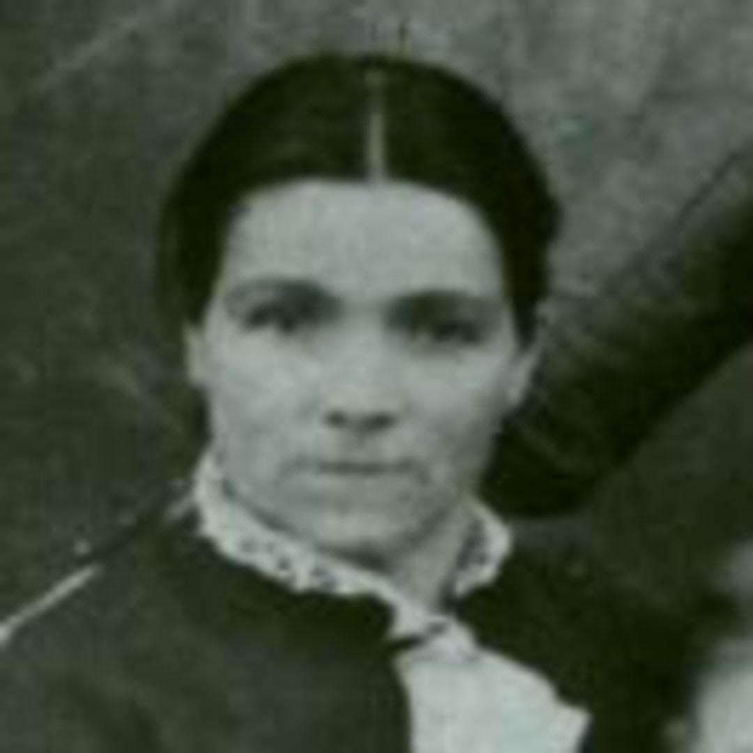 Susanna Justet (1850 - 1934) Profile